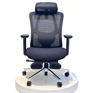 EASYMOVE 人體工學椅