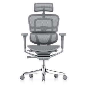 ERGOHUMAN ELITE 2 PRO